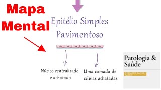 Mapa mental Tecido Epitelial de Revestimento  Histologia [upl. by Etnahsal49]