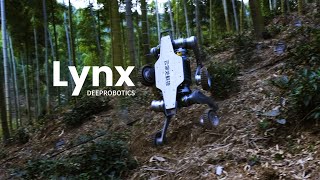 Extreme OffRoad  DEEPRobotics Lynx AllTerrian Robot [upl. by Ylime331]