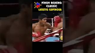 Rapid firepower punches  Luisito Espinosa boxing [upl. by Naletak]