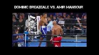 Dominic Breazeale vs Amir Mansour Highlights 2016 [upl. by Ennazus]