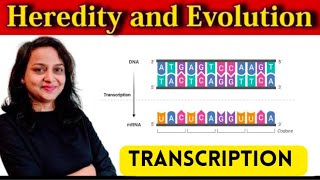 HEREDITY AND EVOLUTION  PART 4  CLASS 10  MAHARASHTRA BOARD [upl. by Annaek]