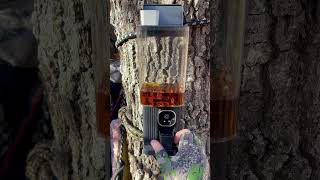 Subscribe Today Mouthwash dispenser More like whiskey dispenser hunting bourbon whiskey deer [upl. by Meara365]