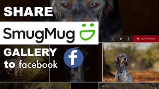 How to share SmugMug gallery on Facebook [upl. by Ahsin142]