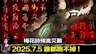 《我所看見的未來》與《梅花詩》千年預言驚人巧合！2025年大災難將至？  馬臉姐 [upl. by Nireves]