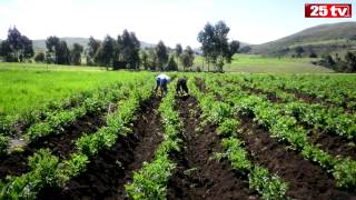 Reportaje Perú  Ayacucho  Cangallo  Los Morochucos [upl. by Nelsen]