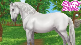 BUYING THE NEW LIPIZZANER HORSES IN STAR STABLE 💕 [upl. by Dam994]