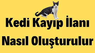 Kedi Kayıp İlanı Nasıl Oluşturulur [upl. by Guerin]