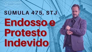 Direito Empresarial  Súmula 475 STJ  Endosso e Protesto [upl. by Leamhsi]