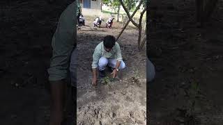 KGRL College Autonomous Bhimavaram NSSPlanting today for a greener tomorrow NSS Plantation [upl. by Ohare]