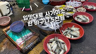 통영서호시장 이 맛에 시장가는 거죠  한 바구니 5천원 [upl. by Yardley]