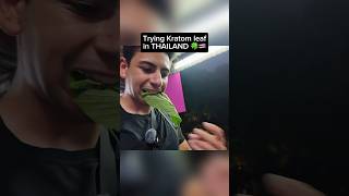 I Tried KRATOM Leaf in Thailand 🍃🇹🇭 [upl. by Alehc750]