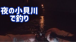 70cmのあいつ！初夏の夜の小貝川！ [upl. by Elodie821]