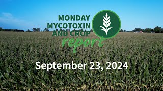 Monday Mycotoxin and Crop Report for September 23 2024 [upl. by Curry]