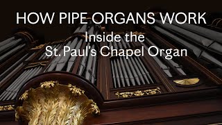 How Pipe Organs Work Inside the St Paul’s Chapel Organ [upl. by Tiena]