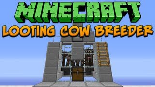 Minecraft Looting Cow Breeder Tutorial [upl. by Quiteri]