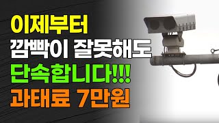 이제부터 깜빡이 잘못해도 단속합니다 과태료 7만원 [upl. by Ylekalb]