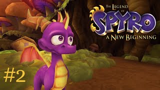 The Legend of Spyro A New Beginning  Walkthrough  No Commentary  part 2 [upl. by Rowell693]