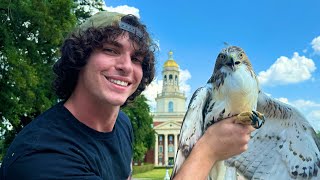 Rescuing amp Releasing a Redtailed Hawk Gone 𝓕𝓻𝓮𝓪𝓴𝔂🤓👆 Urban Rescue Ranch Lost Episode [upl. by Findlay383]