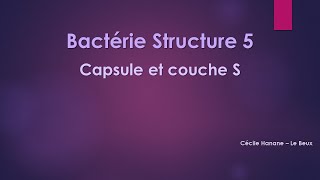 Bactérie Structure 5 CAPSULE et COUCHE S bactériennes sans musique de fond [upl. by Maddy]