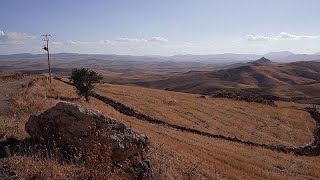 Siccità e desertificazione la Sicilia deve fare i conti con il cambiamento climatico [upl. by Fairbanks]