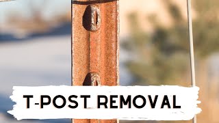 TPost Removal with a Hilift Jack [upl. by Aretahs]