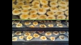 Banana chips Homemade in a food dehydrator not fried [upl. by Campney]