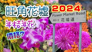 輕輕鬆鬆，花墟遊蹤 2024 旺角花墟  年桔年花 寓意 價格  年桔 水仙 蘭花 五代同堂 富貴子 大花蕙蘭 日本珍珠杜鵑  Mong Kok Flower Market [upl. by Anirres777]