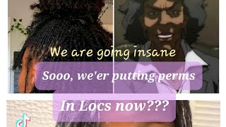 Type 4 Hair Hate Is Going Too Far Perming Locs Self Hate Harmful Chemicals CoffeeCuties777 [upl. by Dash]