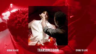 Kodak Black  Transgression Official Audio [upl. by Lilak645]