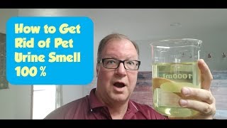 How To Get Rid of Pet Urine Smell [upl. by Gibun]