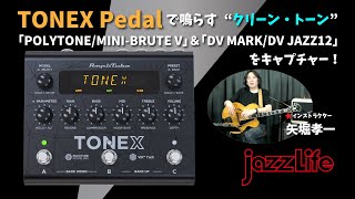 TONEX Pedalで鳴らす“クリーン・トーン” 矢堀孝一「POLYTONEMINIBRUTE V」＆「DV MARKDV JAZZ12」をキャプチャー！ [upl. by Kleeman]