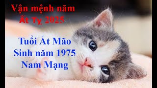 Tử vi Tuổi Ất Mão 1975 Nam mạng năm Ất Tỵ 2025 Sự nghiệp tài vận tình duyên và gia đạo [upl. by Roinuj]