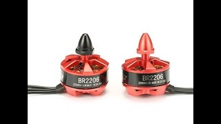 Racerstar BR2206 2200KV 4S Thrust Test KK 6040 from Banggood [upl. by Sorac]