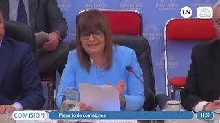 Patricia Bullrich defendiendo la Ley Ómnibus frente a los diputados [upl. by Coy]