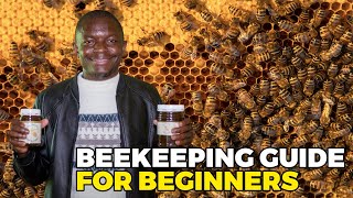 How to Keep Bees for Honey Production Best Beekeeping Guide for Beginners [upl. by Dayle]