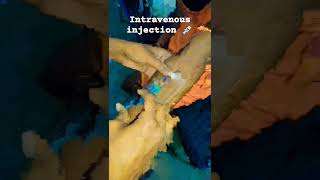 How to Intravenous injection an IV Cannulation Technique  IV Cannula Kai [upl. by Ellekram]