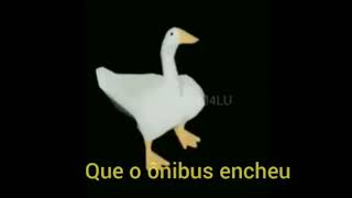 PATO PATO GANSO DANÇANDO ÔNIBUS 1 HORA [upl. by Snook]