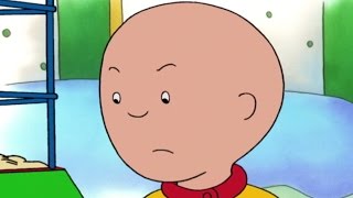 Caillou  Full Episode Compilation  1 Hour  Cartoons for Kids [upl. by Lewison]