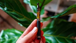 THIS Is The NEW BEST Dab Pen In The WORLD 2023 [upl. by Euv651]