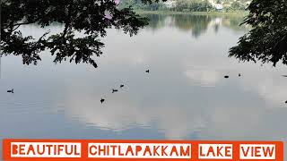 சென்னையில் இப்படி ஒரு இடமா  யாரும் கண்டிராத Beautiful Tourism Spot  Chitlapakkam Lake View [upl. by Eet995]