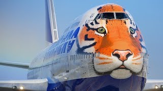 5 Craziest Airline Liveries [upl. by Enra121]