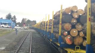 Kinleith to Tauranga Freight  Tokoroa  3182024 [upl. by Albin]