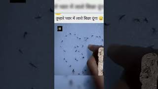 🤣😂 Lase bichha Diya lase comedy ai jokes [upl. by Nodababus]