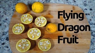 Wild Edibles Flying Dragon Fruit Trifoliate Orange [upl. by Odlanier]