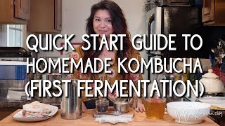 Quick Start Guide to Homemade Kombucha First Fermentation [upl. by Eibber]