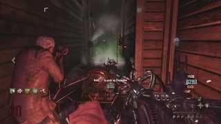 COD Black Ops 2 Zombies on Buried with Friends [upl. by Richmond422]