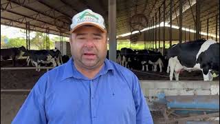 COMPOST BARN REVOLUCIONA PRODUÇÃO E BEMESTAR ANIMAL EM FAZENDA DE GOIÁS [upl. by Berkly]