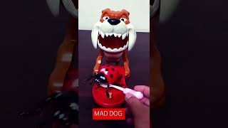 MAD DOG NOT EATING THE FOOD IN HIS TABLE ASMRasmrvideo shortvideo [upl. by Oberon]