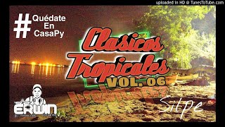 CLASICOS TROPICALES VOL06  ERWIN DJ PY [upl. by Pip524]