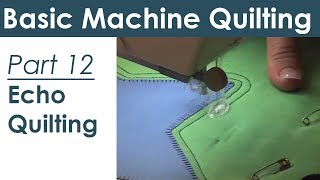 Echoing and Stippling How to Machine Quilt [upl. by Nilecoj464]